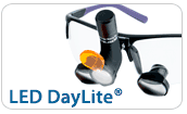 LED DayLite